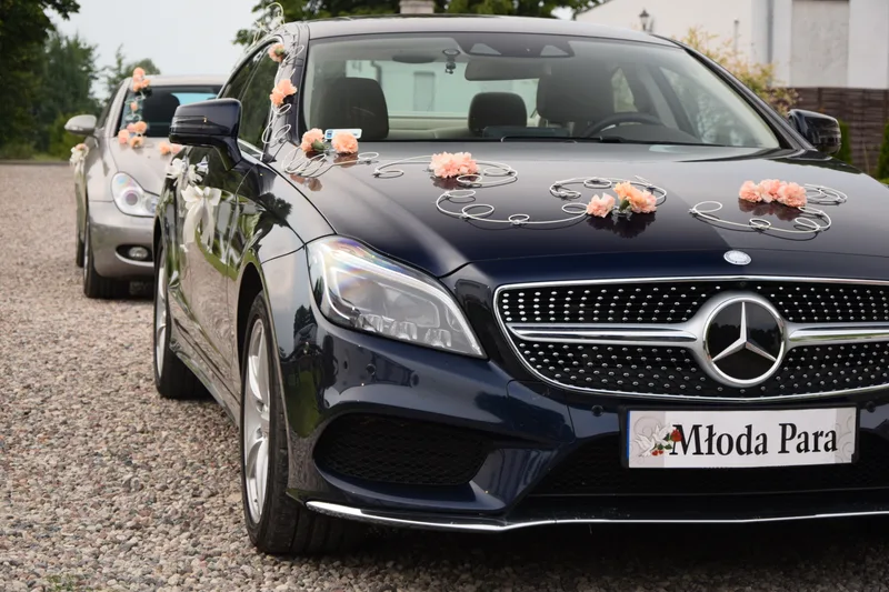 A row of luxury cars lined up for a wedding